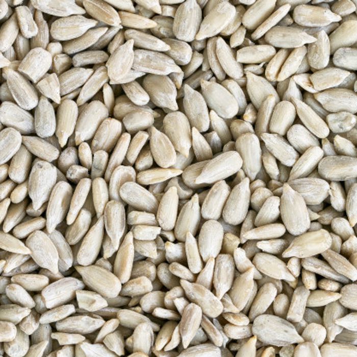 Llavors girasol GRANEL