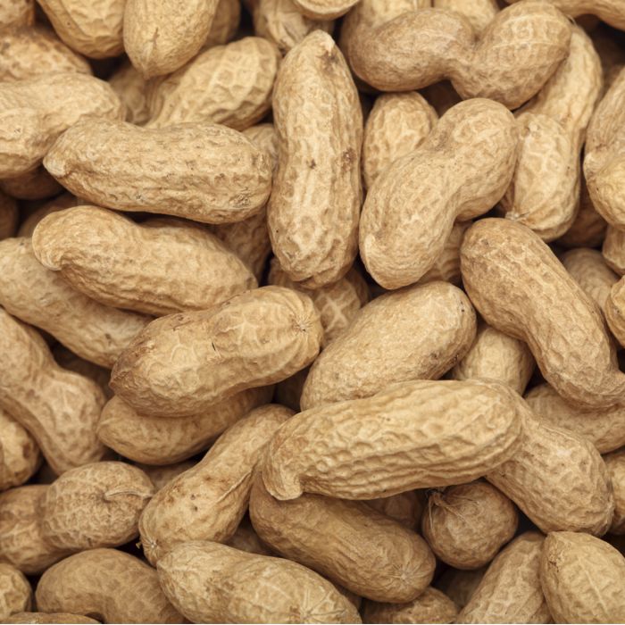 Cacauet torrat CLOSCA GRANEL