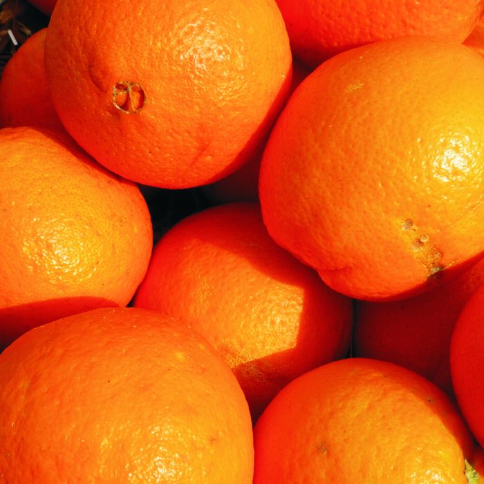Taronja taula -C.Valenciana-