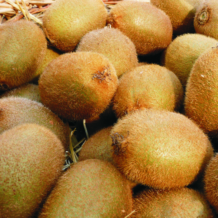 Kiwi HAYWARD -Portugal-