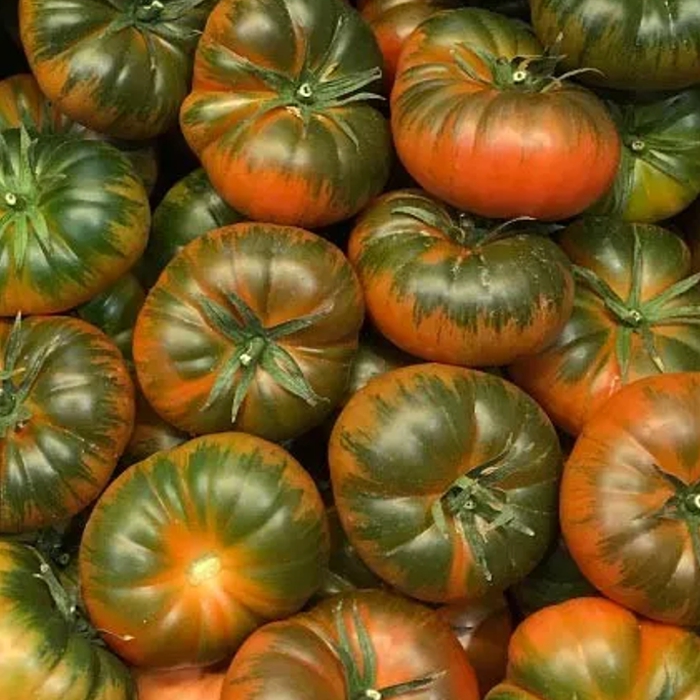 Tomàquet RAF -R. de Múrcia-