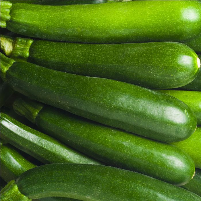 Carbassó -Andalusia-