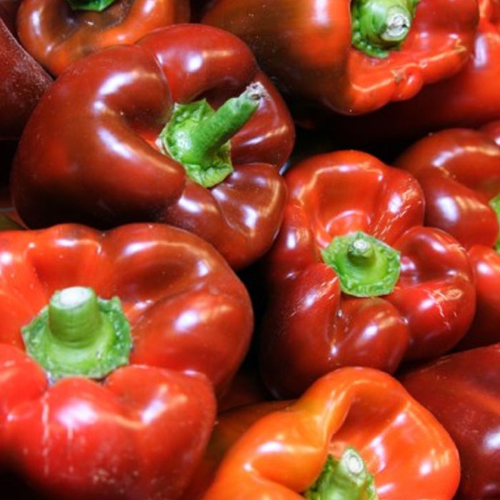 Pebrot vermell -Andalusia-