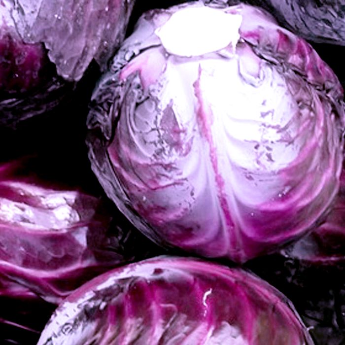 Col Llombarda -R. de Múrcia-